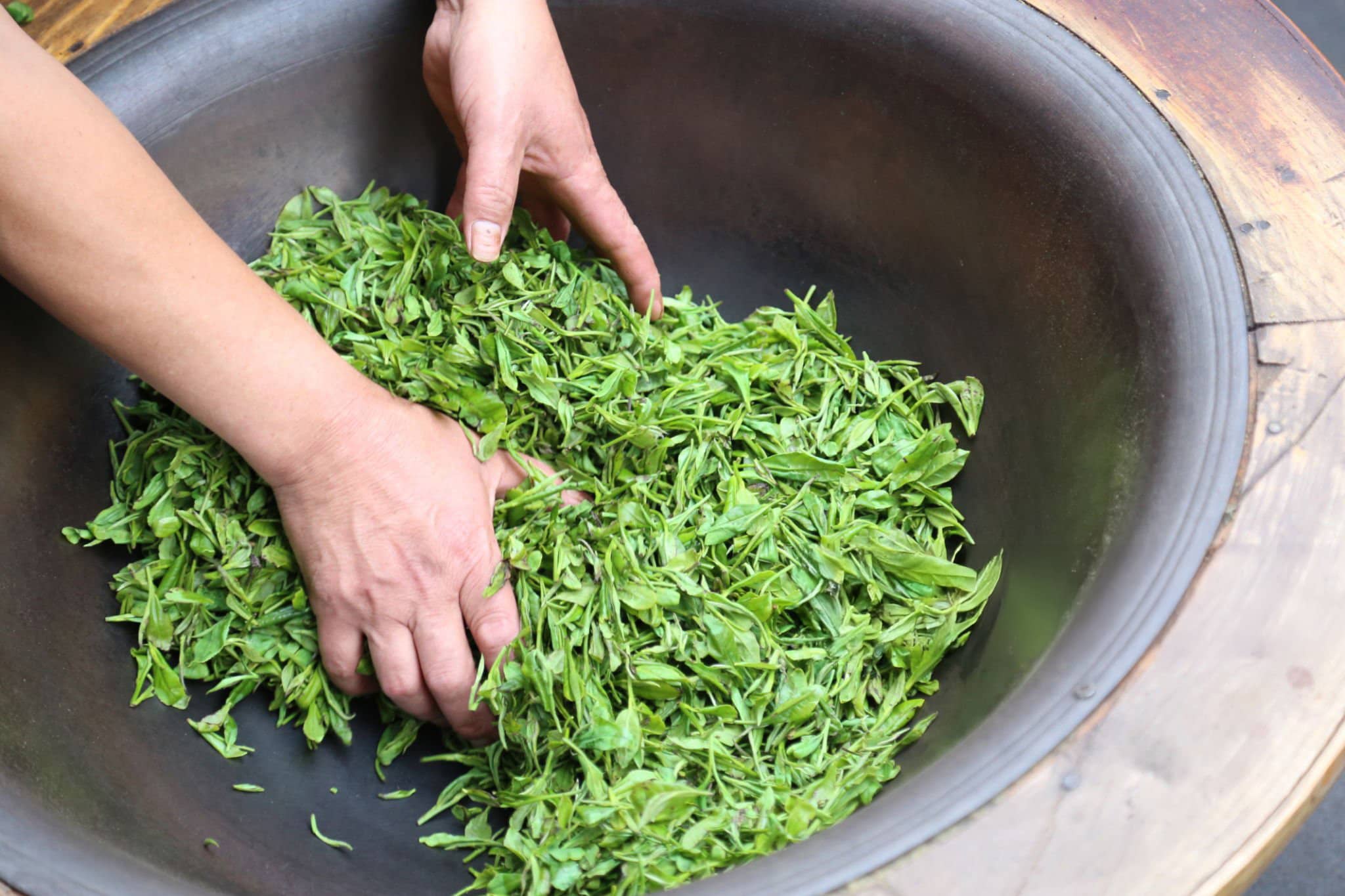 Exploring the Green Tea Category: Four Processing Methods Explained ...