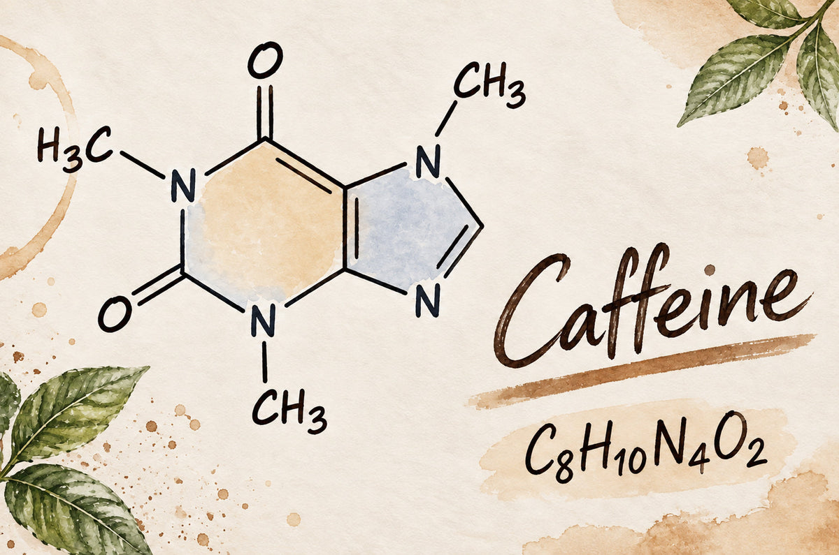 Does White Tea Have Caffeine? Exploring the Facts, Benefits, and Comparisons
