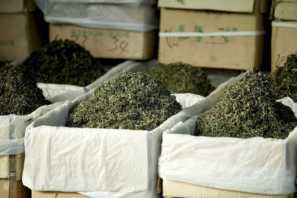 CHICHATEA: Premium Chinese Tea for Health - Authentic & Convenient