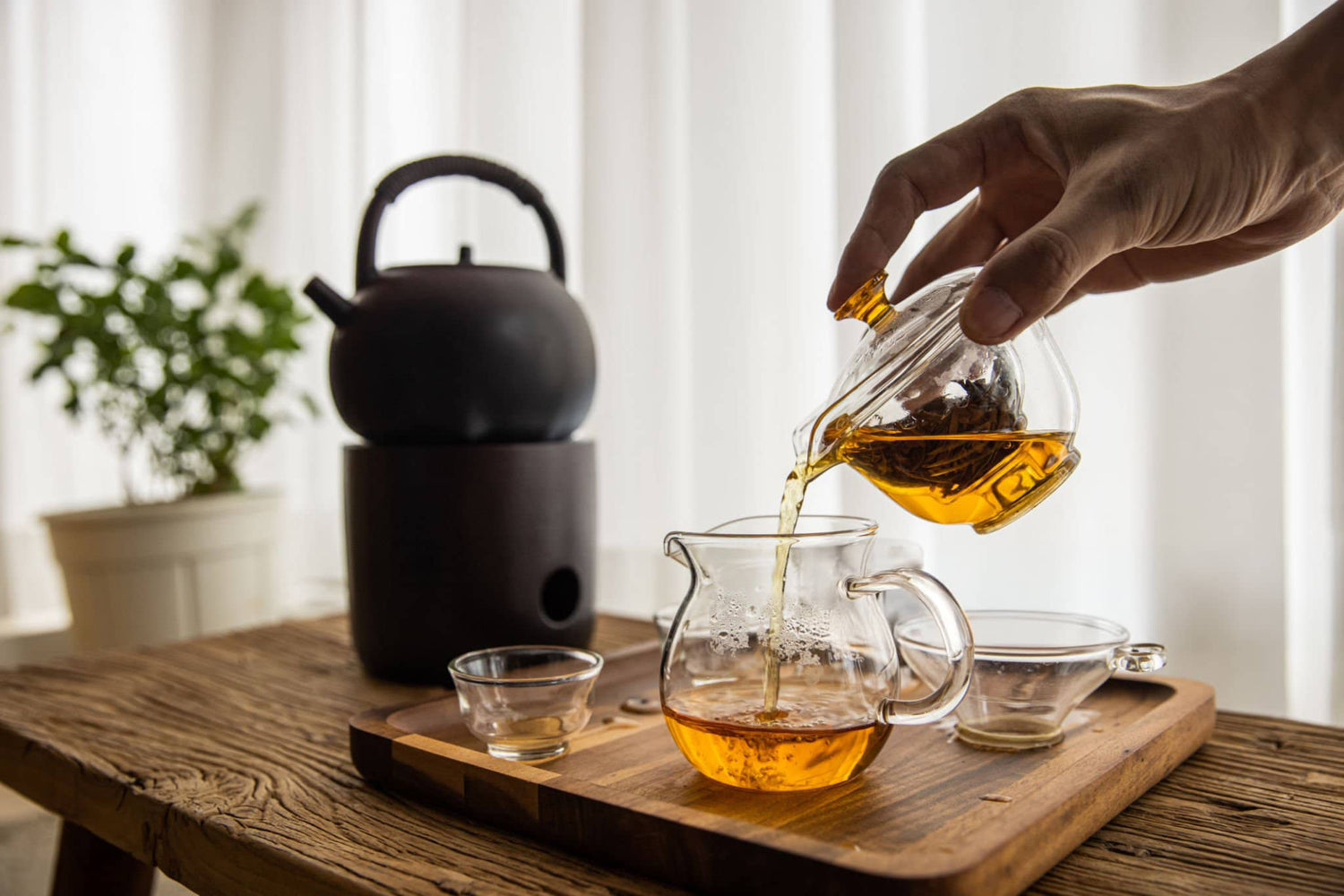 What is Oolong Tea? - CHICHATEA