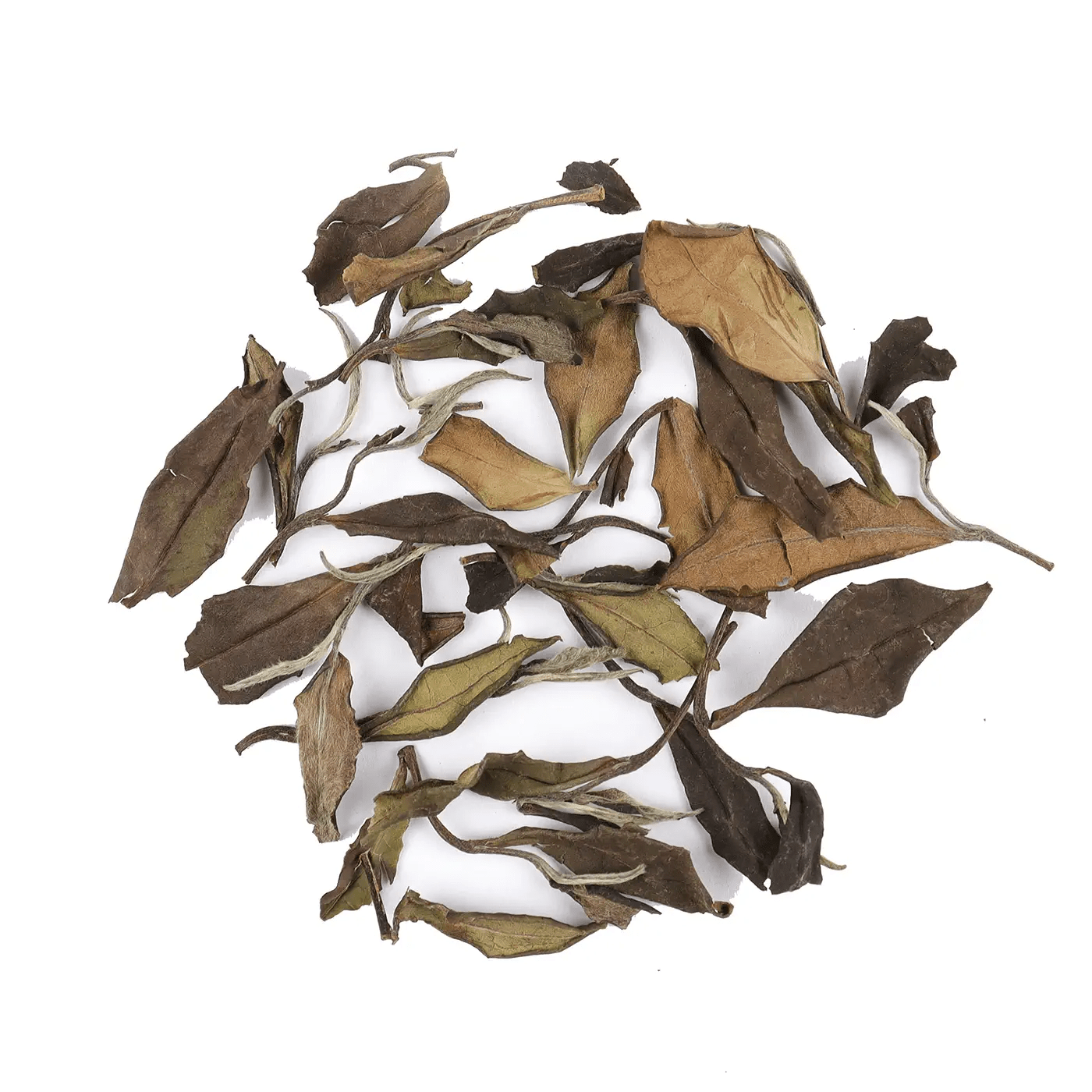 A pile of My Store Gong Mei White Tea leaves from Fuding City, showing brown and green hues, scattered on a white background.