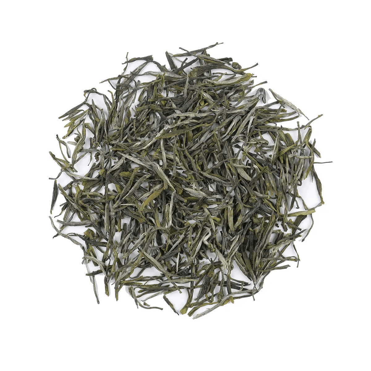 Huangshan Maofeng Green Tea dry leaves arranged in a round pile on a white background.