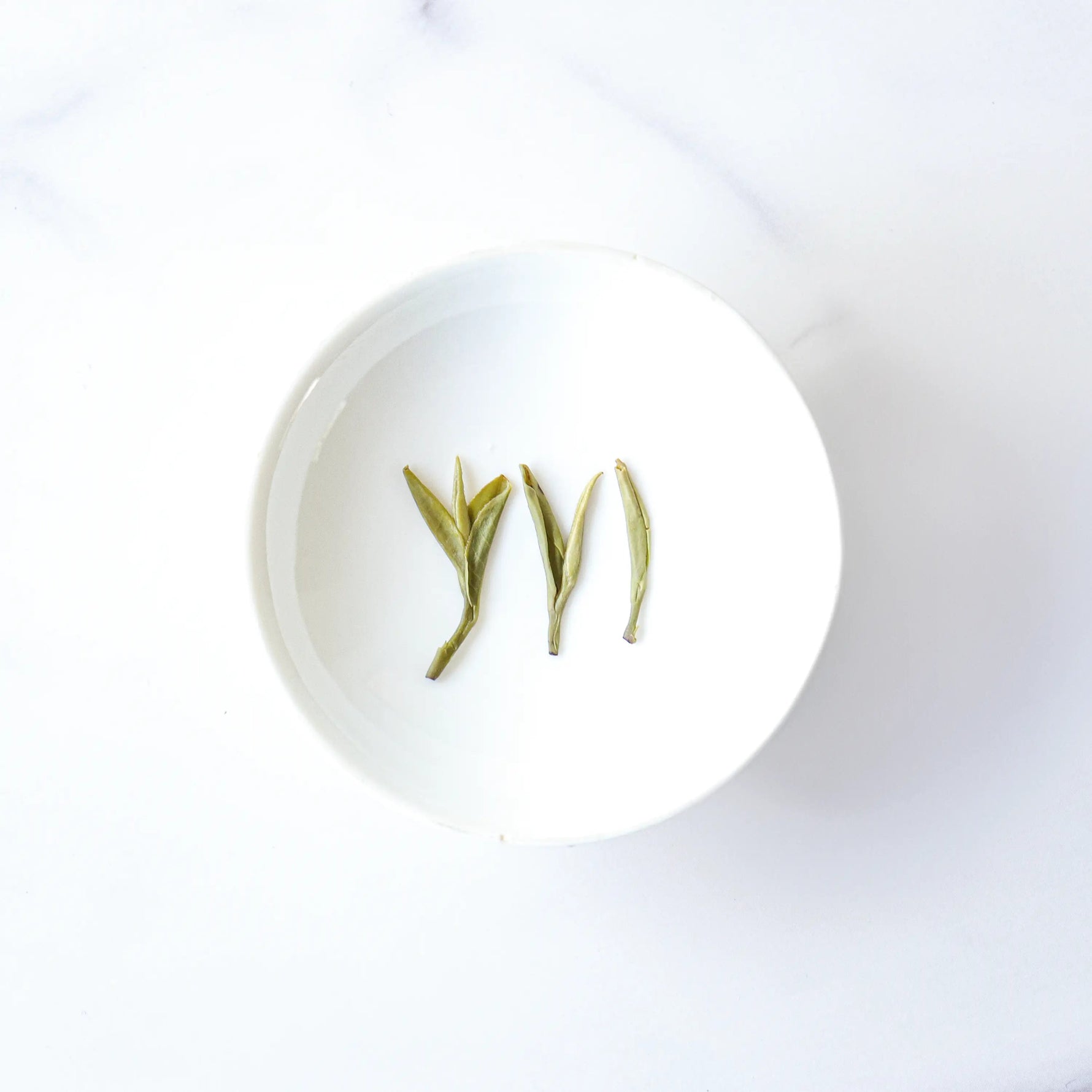 Three flat Longjing Dragon Well Green Tea leaves on a white tasting dish.