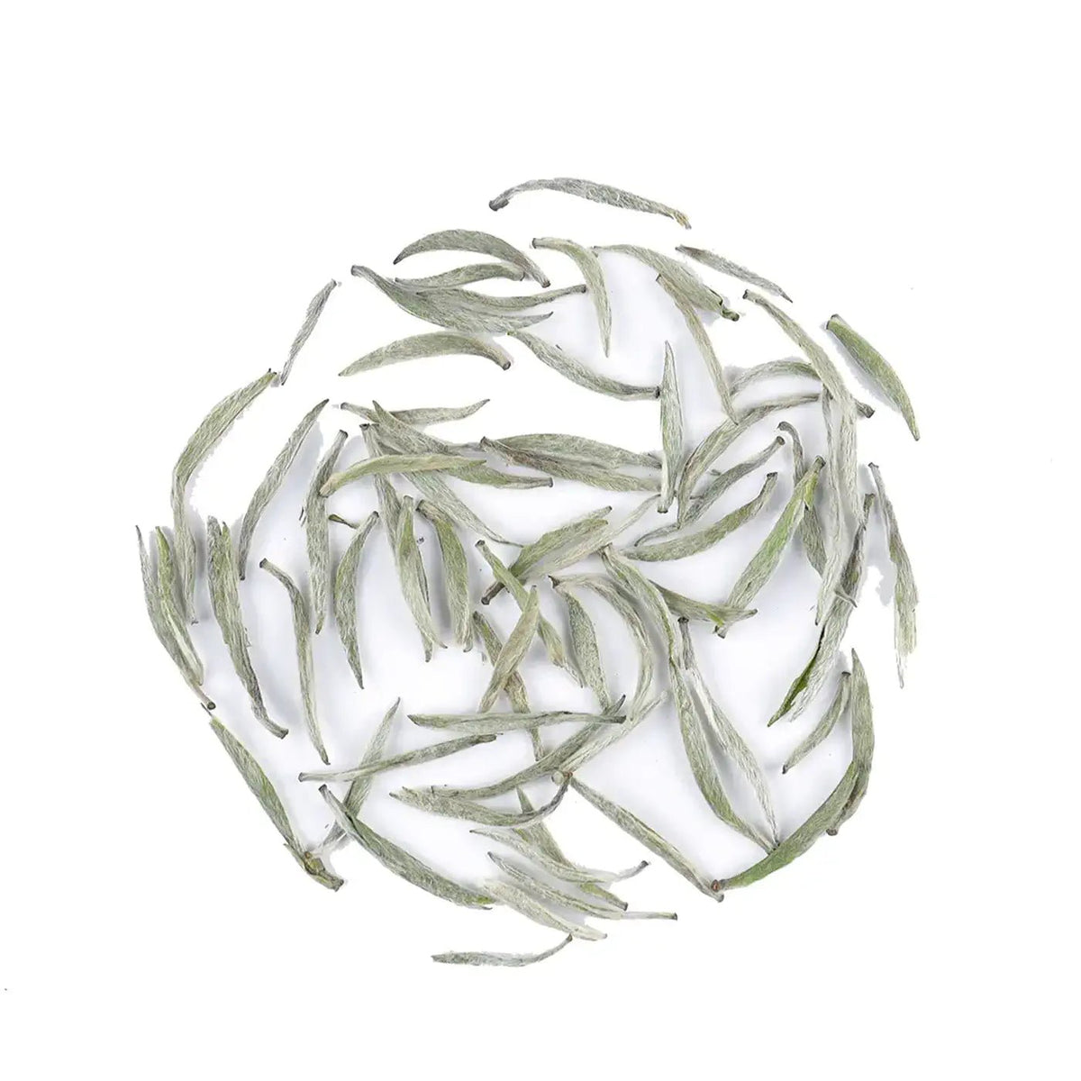 Silver Needle White Tea buds arranged in a round pattern on a white background.