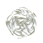 My Store's Silver Needle White Tea leaves, known for their antioxidant content, are displayed in a circular pattern on a white background.