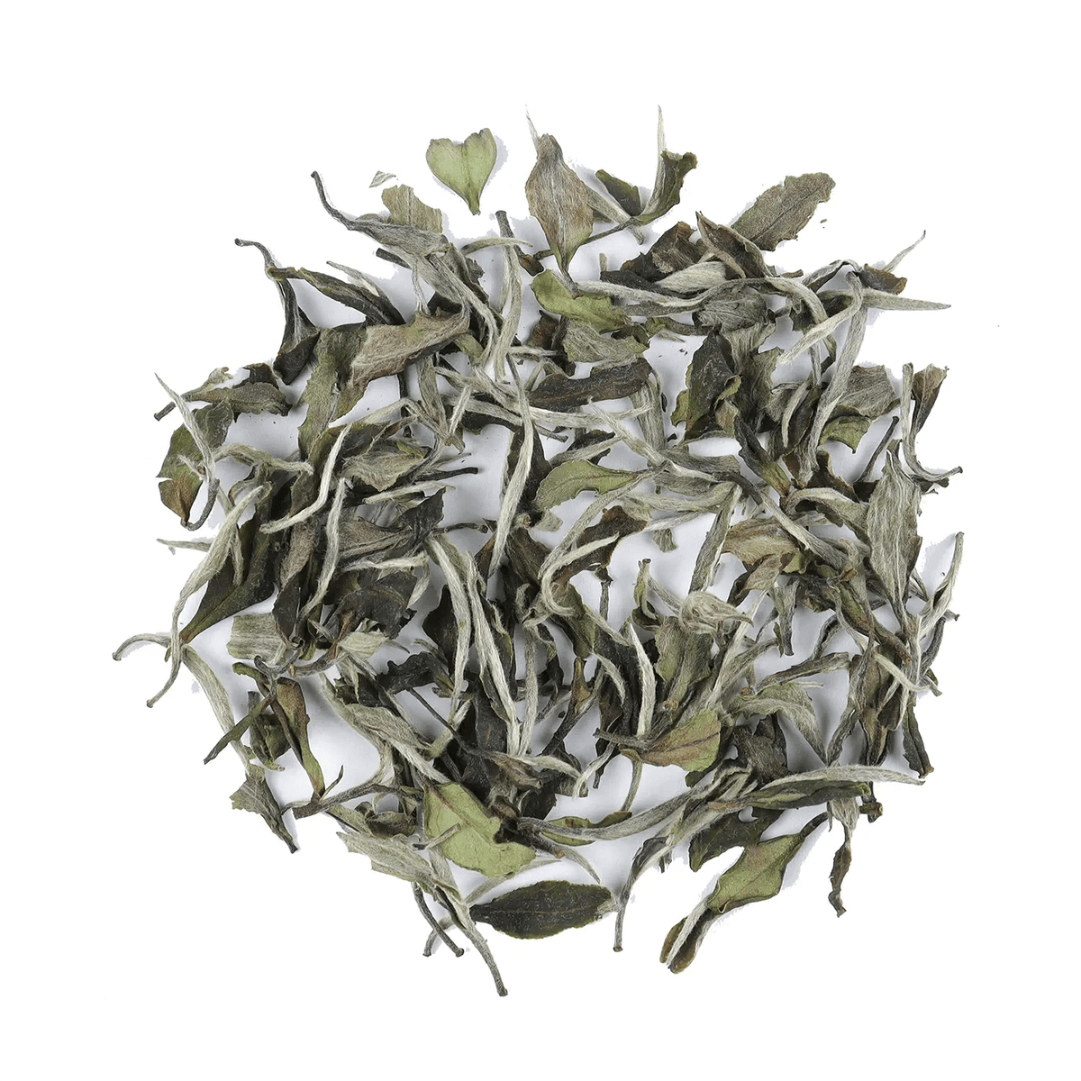 White Peony tea loose leaves with silvery buds and green leaves on a white background.