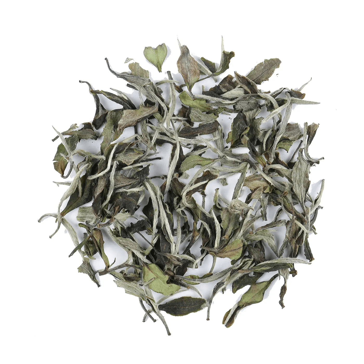 My Store’s White Peony Tea loose leaves are artfully arranged in a circular pile on a white background.