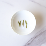 Three Xinyang Maojian green tea leaves from My Store are arranged upright in a row on a small white plate set on a white marble surface.