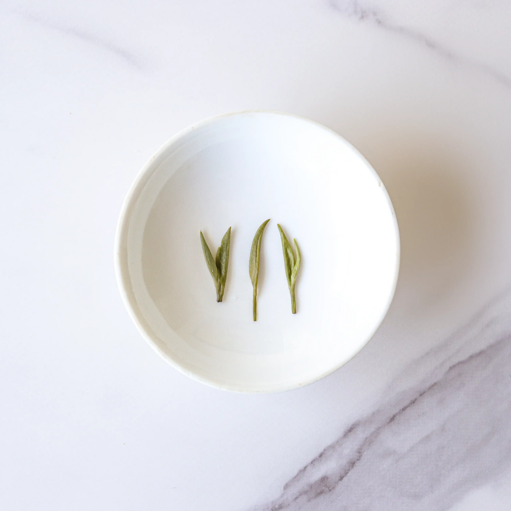 Three Xinyang Maojian green tea leaves from My Store are arranged upright in a row on a small white plate set on a white marble surface.
